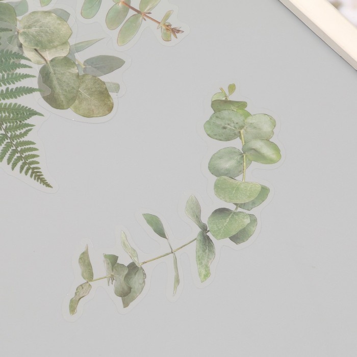 Наклейки пластик Наклейки пластик "Листья и цитаты. Зеленые" набор 12 шт 8,5х21,5х0,2 см