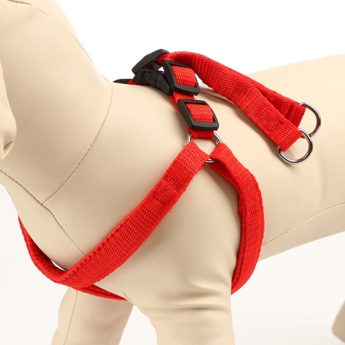 Шлейка Шлейка "Комфорт" комбинированная, 1,5 см, ОШ 36-50 см, ОГ 40-55 см, красная