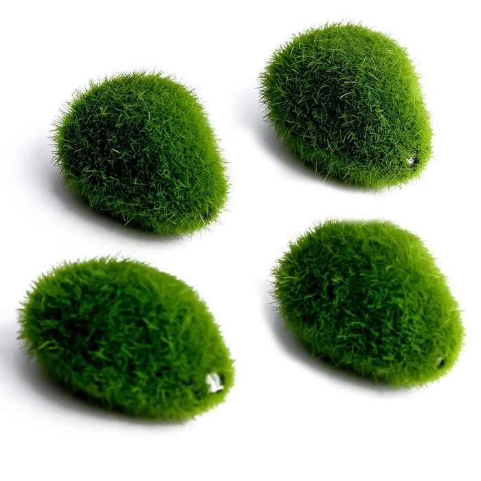 Основа для творчества «Камень со мхом» набор 4 шт., размер 1 шт. — 5 × 1,5 × 3 см Основа для творчества «Камень со мхом» набор 4 шт., размер 1 шт. — 5 × 1,5 × 3 см