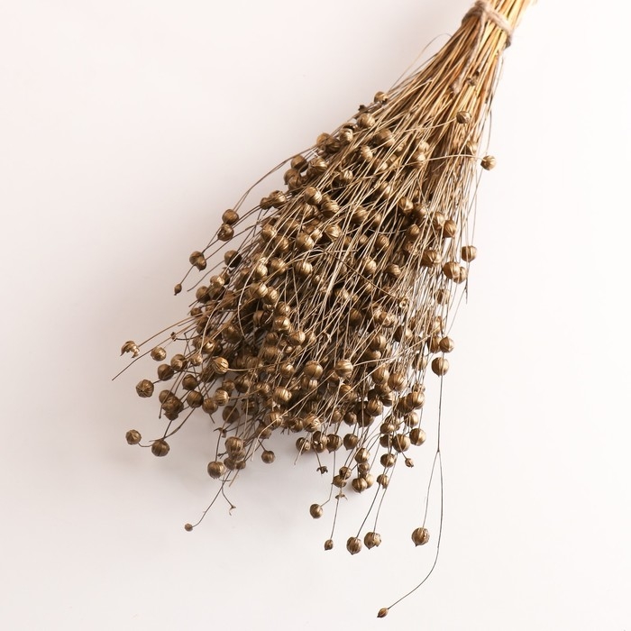 Набор сухоцветов Набор сухоцветов "Лён-долгунец", банч длина 55-60 (+/- 6 см), бронза