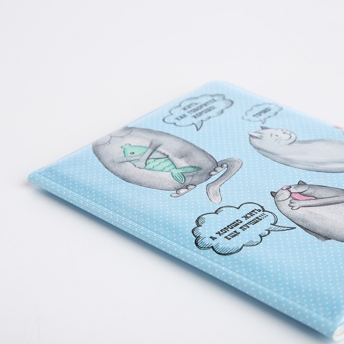 Обложка для паспорта, цвет голубой Обложка для паспорта, цвет голубой