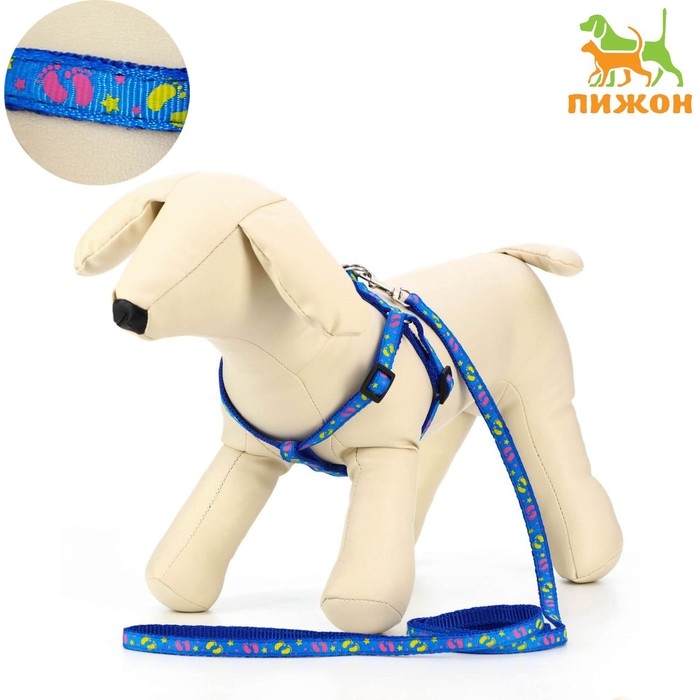 Комплект  Комплект "Цветные следы", ширина 1 см, поводок 120 см, шлейка 23-35 см, синий