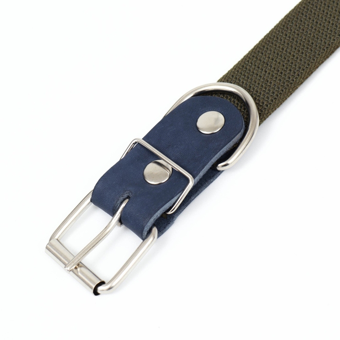 Ошейник брезентовый однослойный, 73 х 3,5 см, ОШ 45-60 см, хаки Ошейник брезентовый однослойный, 73 х 3,5 см, ОШ 45-60 см, хаки