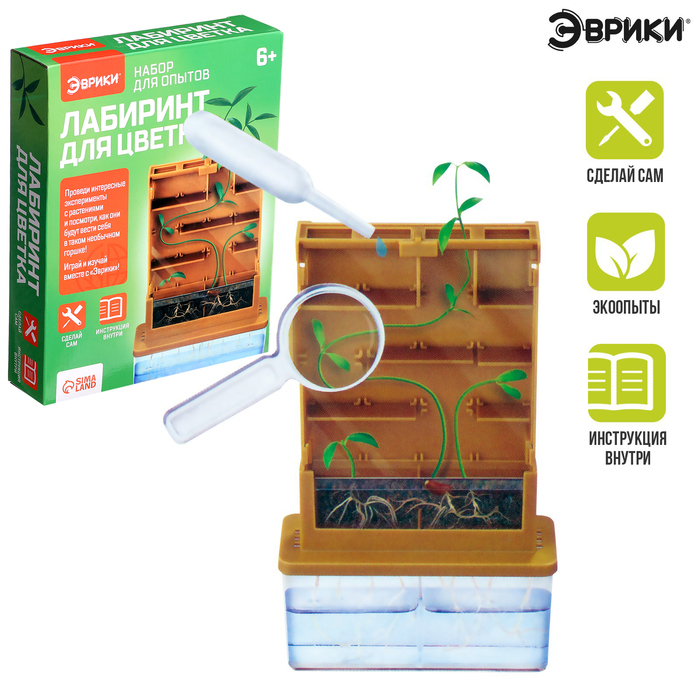 Набор для опытов «Лабиринт для цветка» Набор для опытов «Лабиринт для цветка»