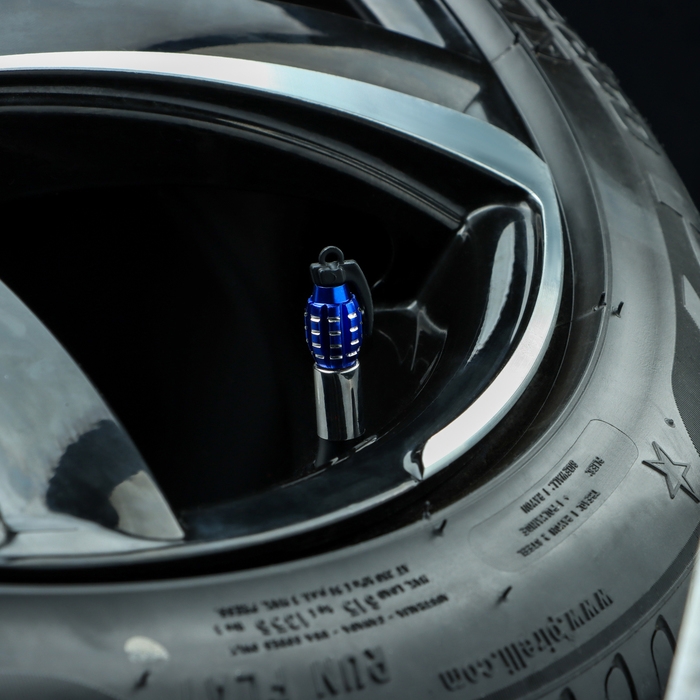 Колпачок на вентиль TORSO, граната, синий, набор 4 шт Колпачок на вентиль TORSO, граната, синий, набор 4 шт