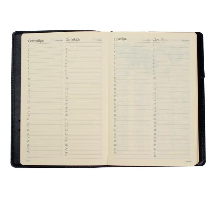 Ежедневник полудатированный А5, 208 листов Profy, рециклированная кожа, сменный блок, золотой срез, чёрный Ежедневник полудатированный А5, 208 листов Profy, рециклированная кожа, сменный блок, золотой срез, чёрный