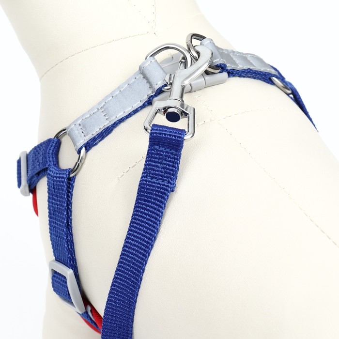 Комплект Sport+, L, поводок 120 x 1,5 см, ОШ 49-56 см, ОГ 56-68 см, вес животного 20-28 кг, синий 9 Комплект Sport+, L, поводок 120 x 1,5 см, ОШ 49-56 см, ОГ 56-68 см, вес животного 20-28 кг, синий 9