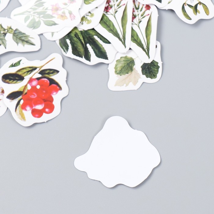 Наклейки для творчества "Ботанический сад" набор 46 шт 4,4х4,4х1,1 см