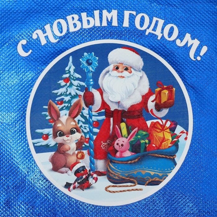 Пакет-мешок из нетканного материала «Новый год», 25 х 32 см, Новый год Пакет-мешок из нетканного материала «Новый год», 25 х 32 см, Новый год