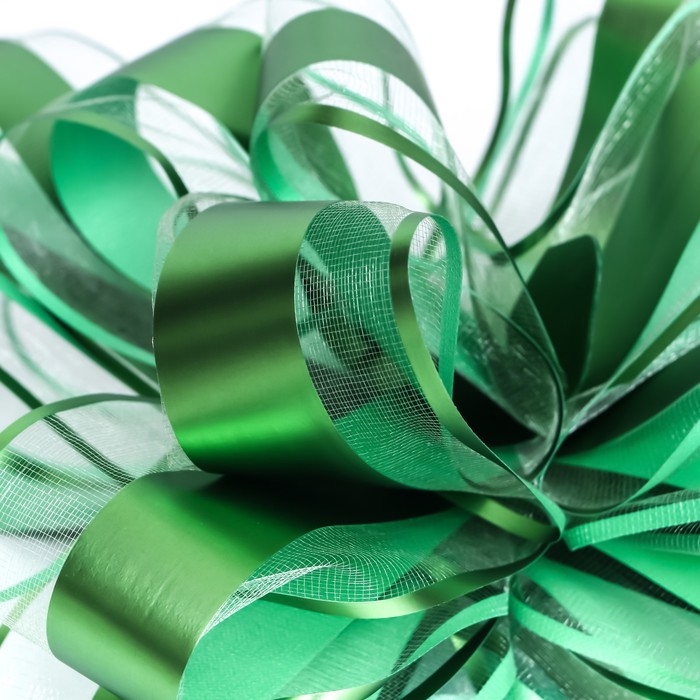 Бант-шар №6.5 Бант-шар №6.5