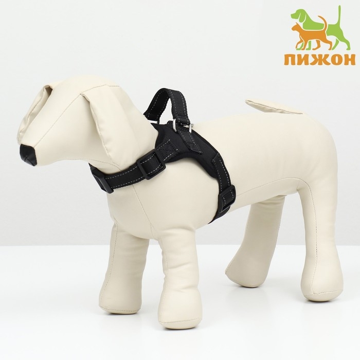 Шлейка К7 мягкая светоотражающая, размер XS, ОГ 34-44 см, вес 2,5-5 кг, чёрная Шлейка К7 мягкая светоотражающая, размер XS, ОГ 34-44 см, вес 2,5-5 кг, чёрная