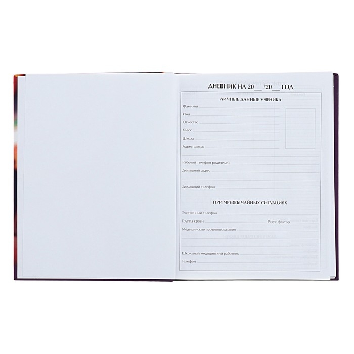 Дневник универсальный для 1-11 классов Дневник универсальный для 1-11 классов "Стильная девочка", твёрдая обложка, матовая ламинация, выборочный лак, 40 листов