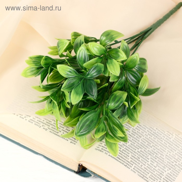 Букет  Букет "Листовик" 25 см, микс