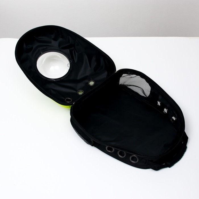 Рюкзак для переноски кошек и собак  Рюкзак для переноски кошек и собак "Кактус", с окном, 32 х 25 х 42 см