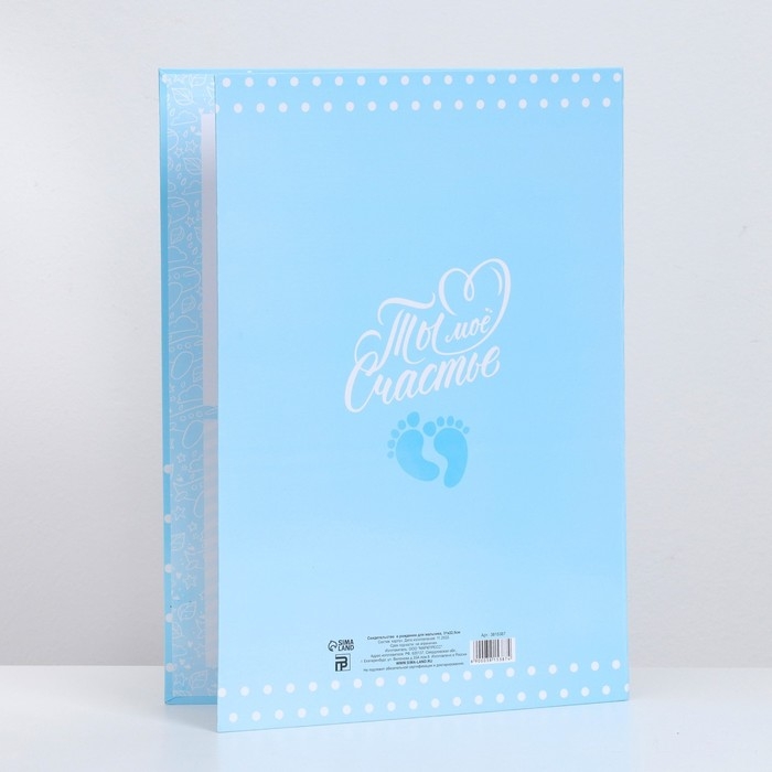 Папка для свидетельства о рождении для мальчика «Мишка», А4