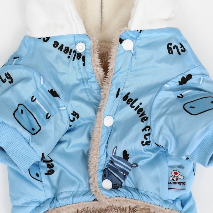 Комбинезон Комбинезон "Метель", размер XL (ДС 40 см, ОГ 50, ОШ 33 см), голубой