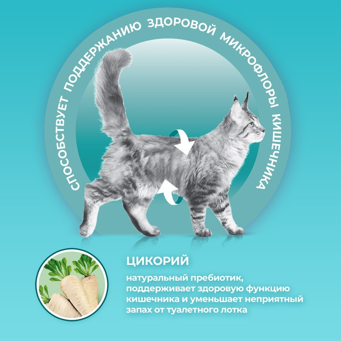 Сухой корм Purinа One для стерилизованных кошек, говядина/пшеница, 750 г Сухой корм Purinа One для стерилизованных кошек, говядина/пшеница, 750 г
