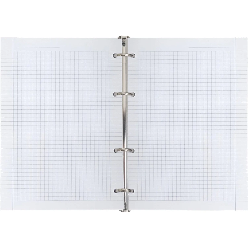 Тетрадь со сменным блоком А5,120л,Infolio Study,Country,иск.кож,N3802