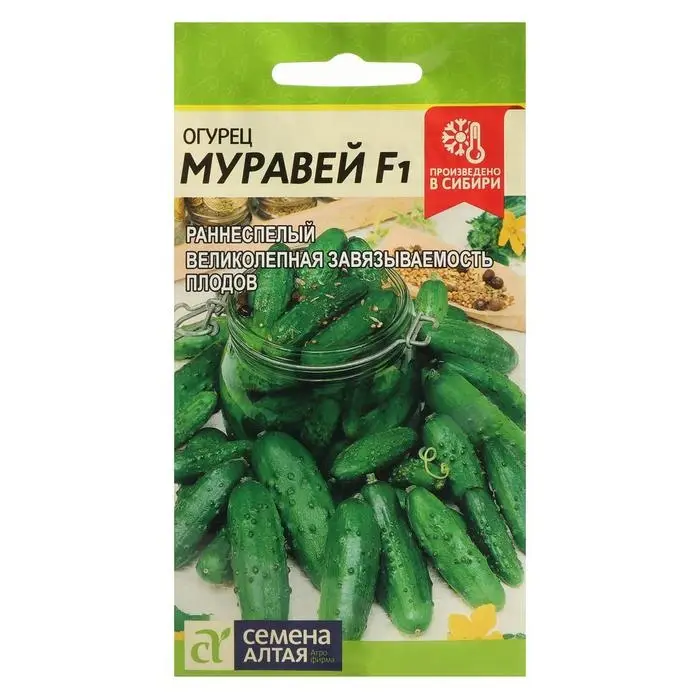 Семена Огурец Семена Огурец "Муравей", F1, Сем. Алт, ц/п, 5 шт