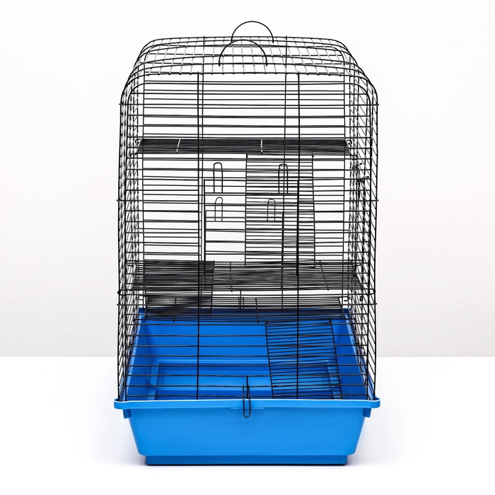 Клетка для грызунов Роджер 3, трехъярусная, 79 х 44 х 65 см, микс Клетка для грызунов Роджер 3, трехъярусная, 79 х 44 х 65 см, микс