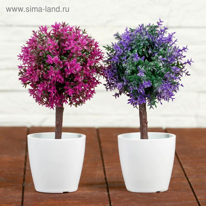 Бонсай в горшке "Цветные листочки" 18 см, микс