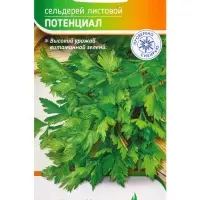 Семена Сельдерей "Потенциал" 1 г Семена Сельдерей "Потенциал" 1 г
