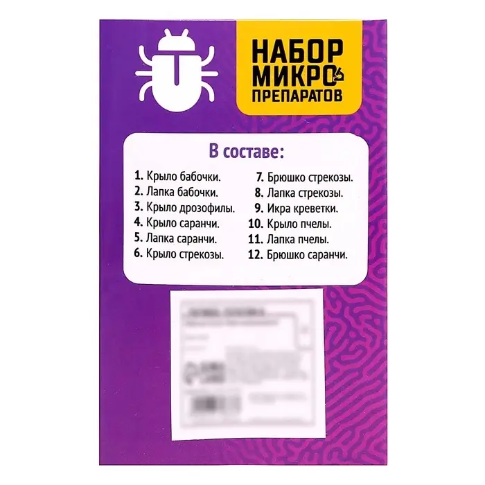 Набор для опытов &laquo;Набор микропрепаратов&raquo;, насекомые