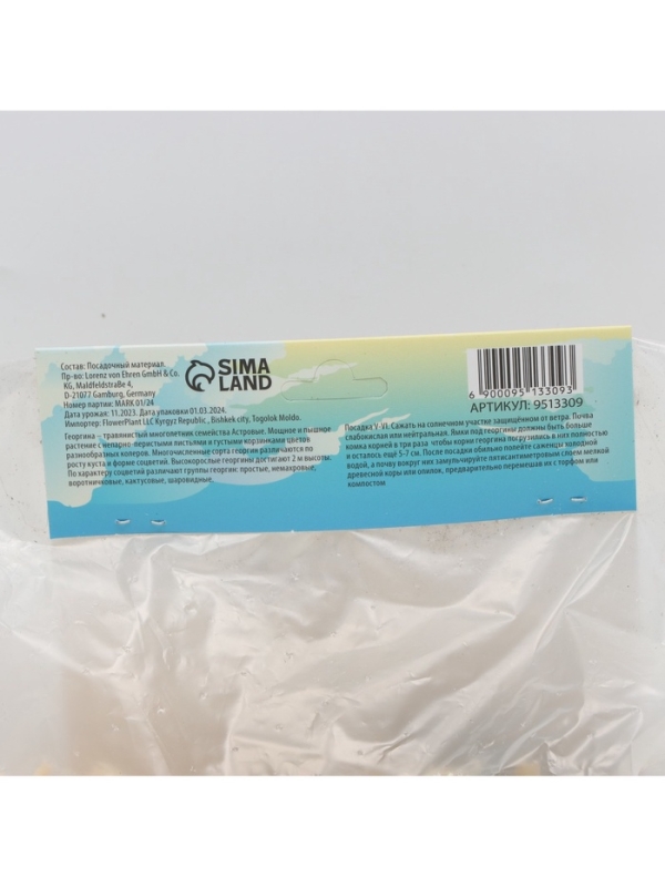 Георгина Кактусовидная HAYLEY JANE, клубелуковица в упаковке, р-р I, 1 шт.