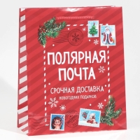 Пакет подарочный новогодний ламинированный «Полярная почта», ML 21 х 25 х 8 см