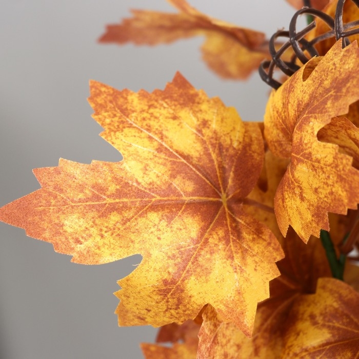 Бонсай в горшке Бонсай в горшке "Гейхера эстра" 25х10 см, микс