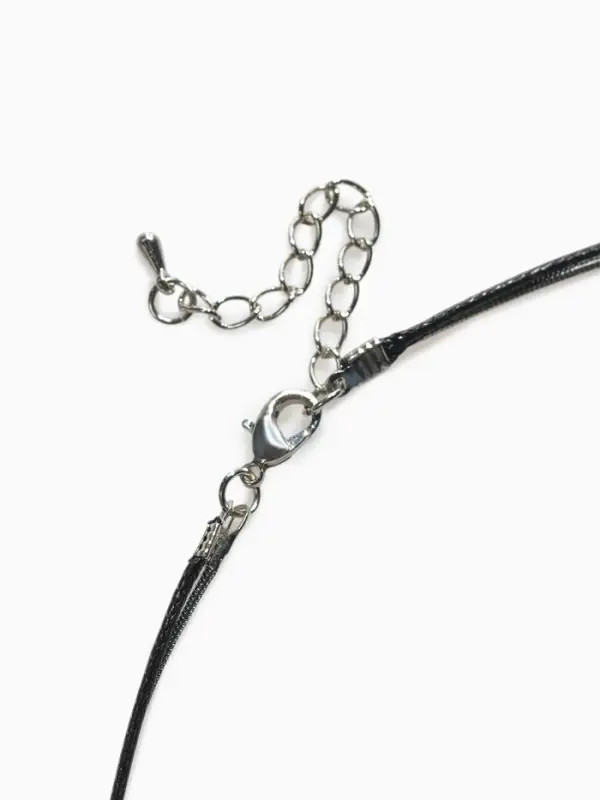 Кулон на цепочке &laquo;Цепь&raquo;, тотем, кольцо с иголкой, чёрный в серебре, 72 см