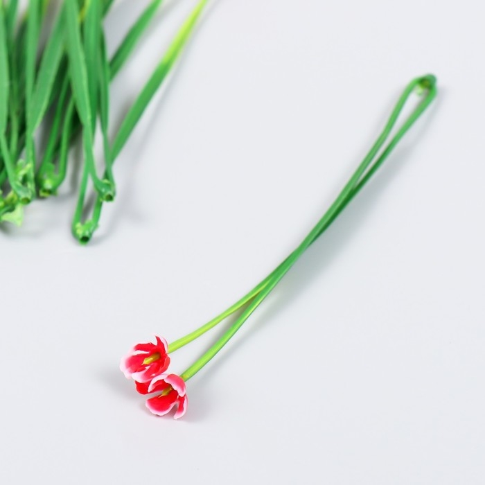 Декор для творчества Декор для творчества "Эрантис" набор 10 шт красный 14,5 см