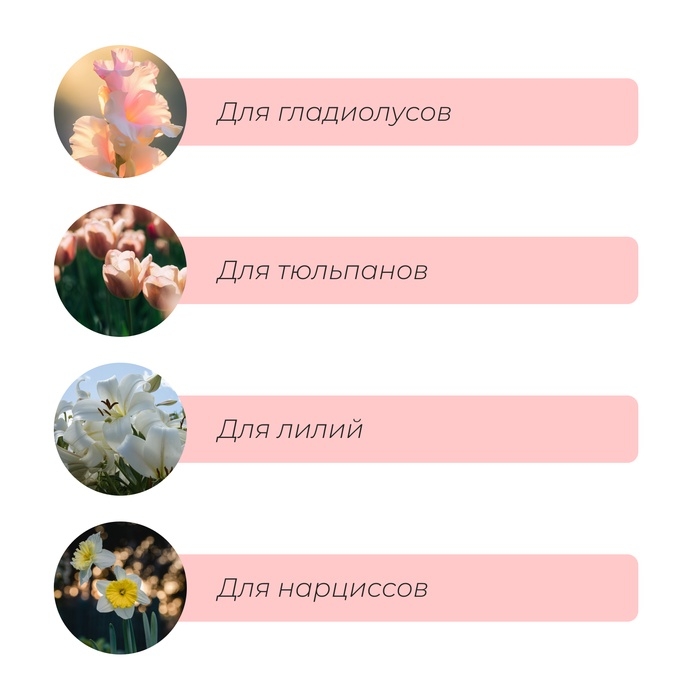 Корзина для луковичных, круглая, d = 30 см, h = 8 см, чёрная Корзина для луковичных, круглая, d = 30 см, h = 8 см, чёрная