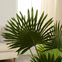 Дерево искусственное &laquo;Ливистона&raquo;, h=90 см