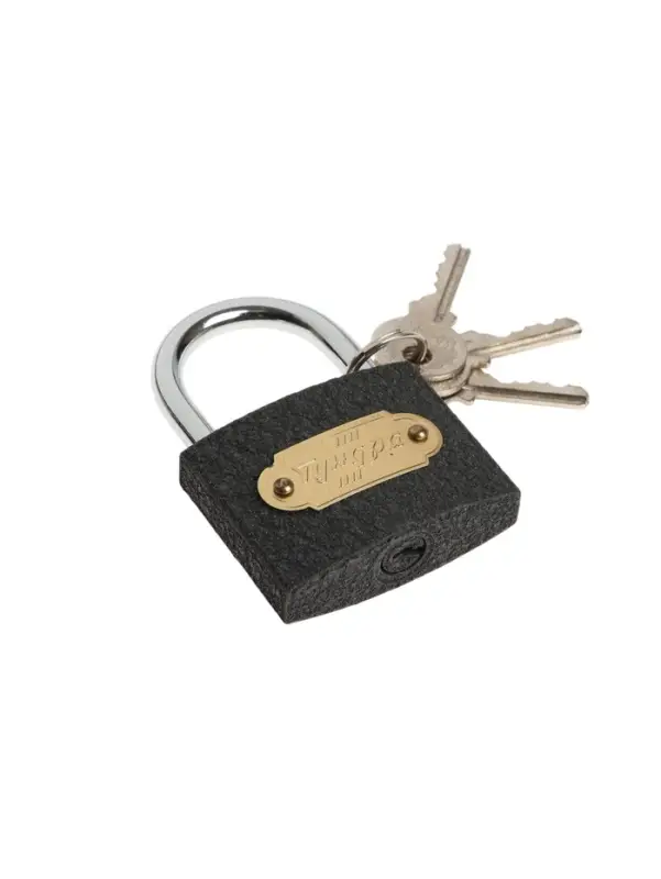 Замок навесной ТУНДРА ZN1050, 50 мм