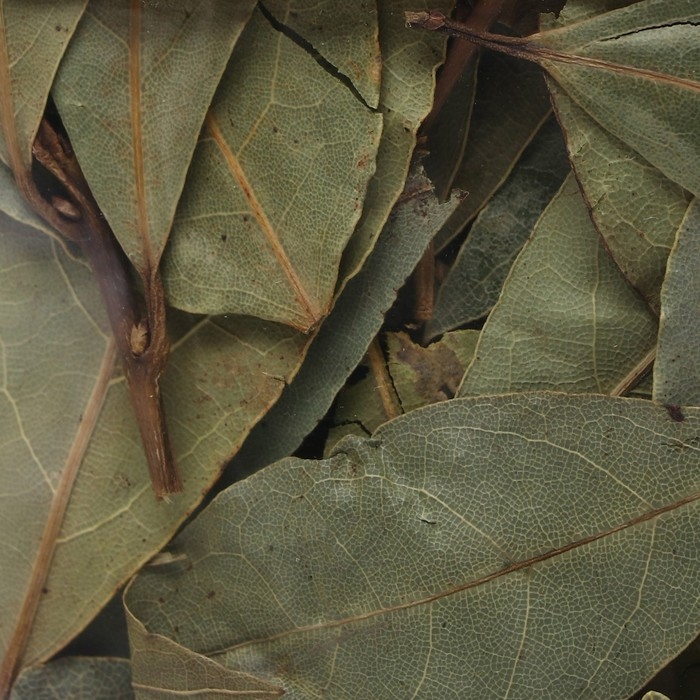 Специя, лавровый лист, 50 г Специя, лавровый лист, 50 г