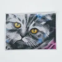 Алмазная мозаика с полным заполнением на холсте &laquo;Кот&raquo;, 15&times;21 см