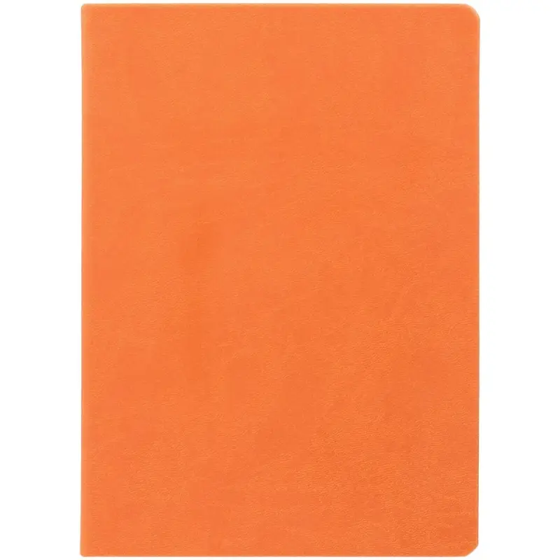 Ежедневник Basis, датированный, оранжевый Ежедневник Basis, датированный, оранжевый