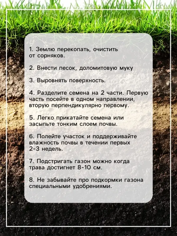 Газонная травосмесь &laquo;Северная&raquo;, 20 кг