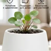 Горшок цветочный &laquo;Япония&raquo;, 3 л, d=22 см, h=20 см, пластиковый, с поддоном, белый