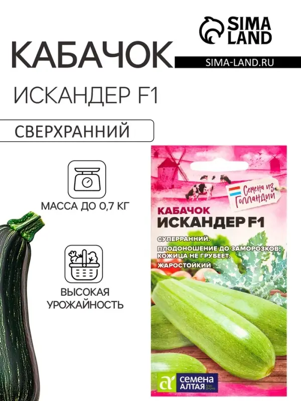 Семена Кабачок &laquo;Искандер&raquo;, F1, 5 шт., &laquo;Семена Алтая&raquo;
