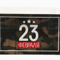 Коробка для капкейков, кондитерская упаковка, 4 ячейки «23 Февраля», 16 х 16 х 10 см