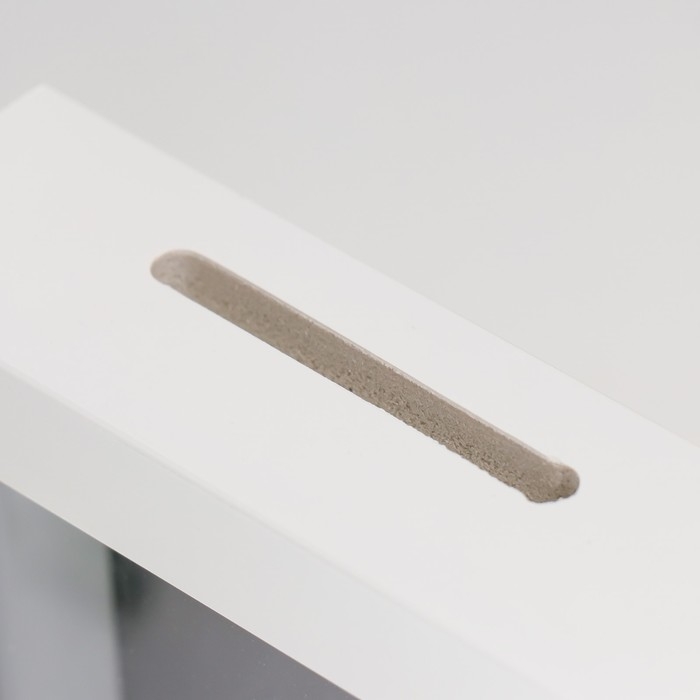 Копилка интерьерная пластик Копилка интерьерная пластик "Лев. Куда еще брутальнее!" 17х12х3,8 см