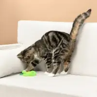 VETTA Игрушка для домашних животных, ПЭ