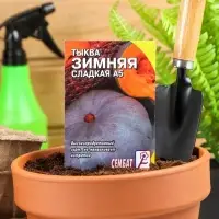 Семена Тыква "Зимняя Сладкая", 1 г