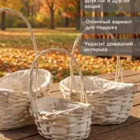 Корзина плетёная для хранения Mera, лоза, с ручкой, белая, набор 3 шт.