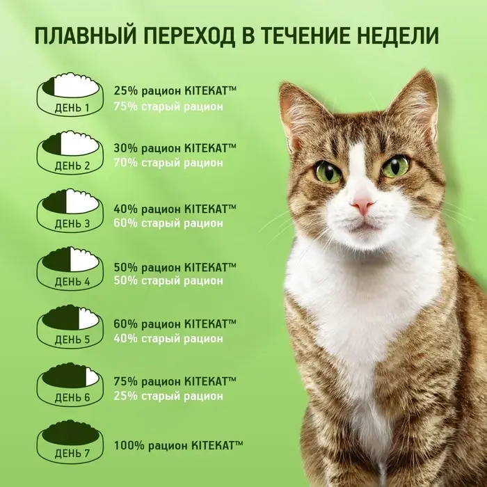 Сухой корм Whiskas для кошек, Телятинка аппетитная, 1.3 кг Сухой корм Whiskas для кошек, Телятинка аппетитная, 1.3 кг