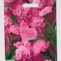 Пакет "Розовые пионы , полиэтиленовый с вырубной ручкой 30х40 см, 60 мкм Пакет "Розовые пионы , полиэтиленовый с вырубной ручкой 30х40 см, 60 мкм
