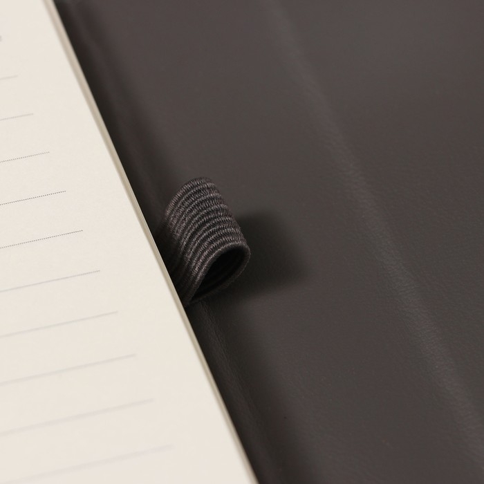 Органайзер на кольцах А6+, 80 листов, кожзам, c клапаном, линия, с ручкой, в подарочной коробке, серый Органайзер на кольцах А6+, 80 листов, кожзам, c клапаном, линия, с ручкой, в подарочной коробке, серый