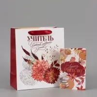 Подарочный набор &laquo;Учитель&raquo;, пакет и открытка, ML 27 &times; 23 &times; 11,5 см